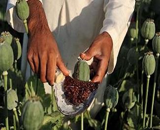 Publication: ‘Narco-Jihad’ – Haram money for a Halal cause?