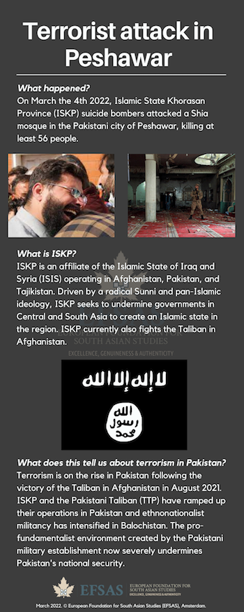 Publication: Terrorist attack in Peshawar