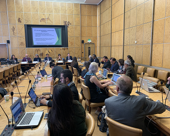 Publication: Q&A Session during EFSAS Side-event at the 42nd Session of UNHRC