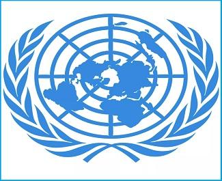 Publication: The UN Human Rights apparatus: Time to reform