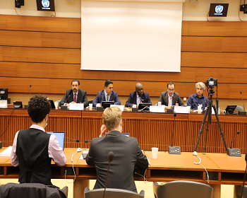 Publication: 51st Session UNHRC: EFSAS Side-event, 'Terrorism and its effects on Human Rights in South Asia’