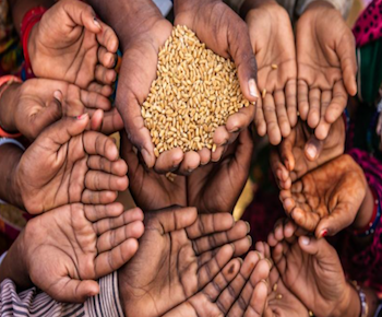 Publication: The United Nations warns of impending acute food insecurity for the already struggling people of Afghanistan and Pakistan