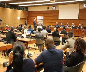 Publication: Q&A Session during EFSAS Side-event on the sidelines of the 52nd Session of the UNHRC